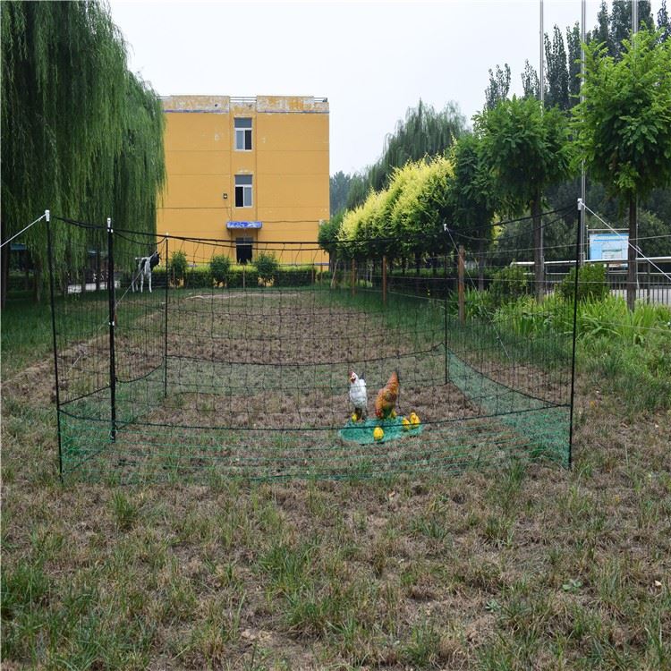 Honde poultry hex netting green 39.37 ft