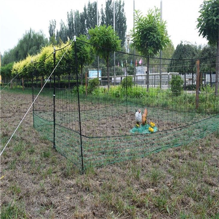 Poultry Netting Fencing