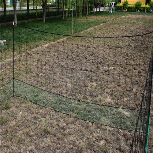 Chook Netting