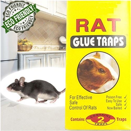 Insekt Sticky Trap Rat Lim Lim